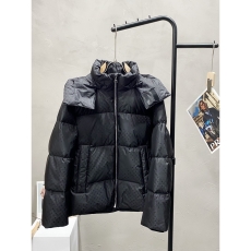 Louis Vuitton Down Jackets